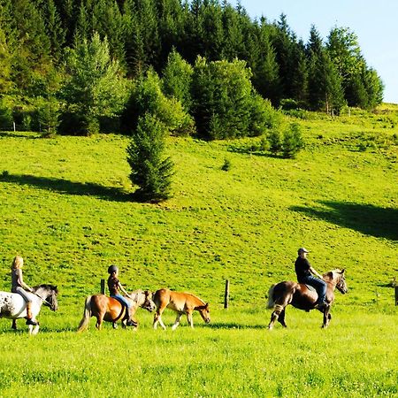 Steinbachgut Villa Flachau Bagian luar foto