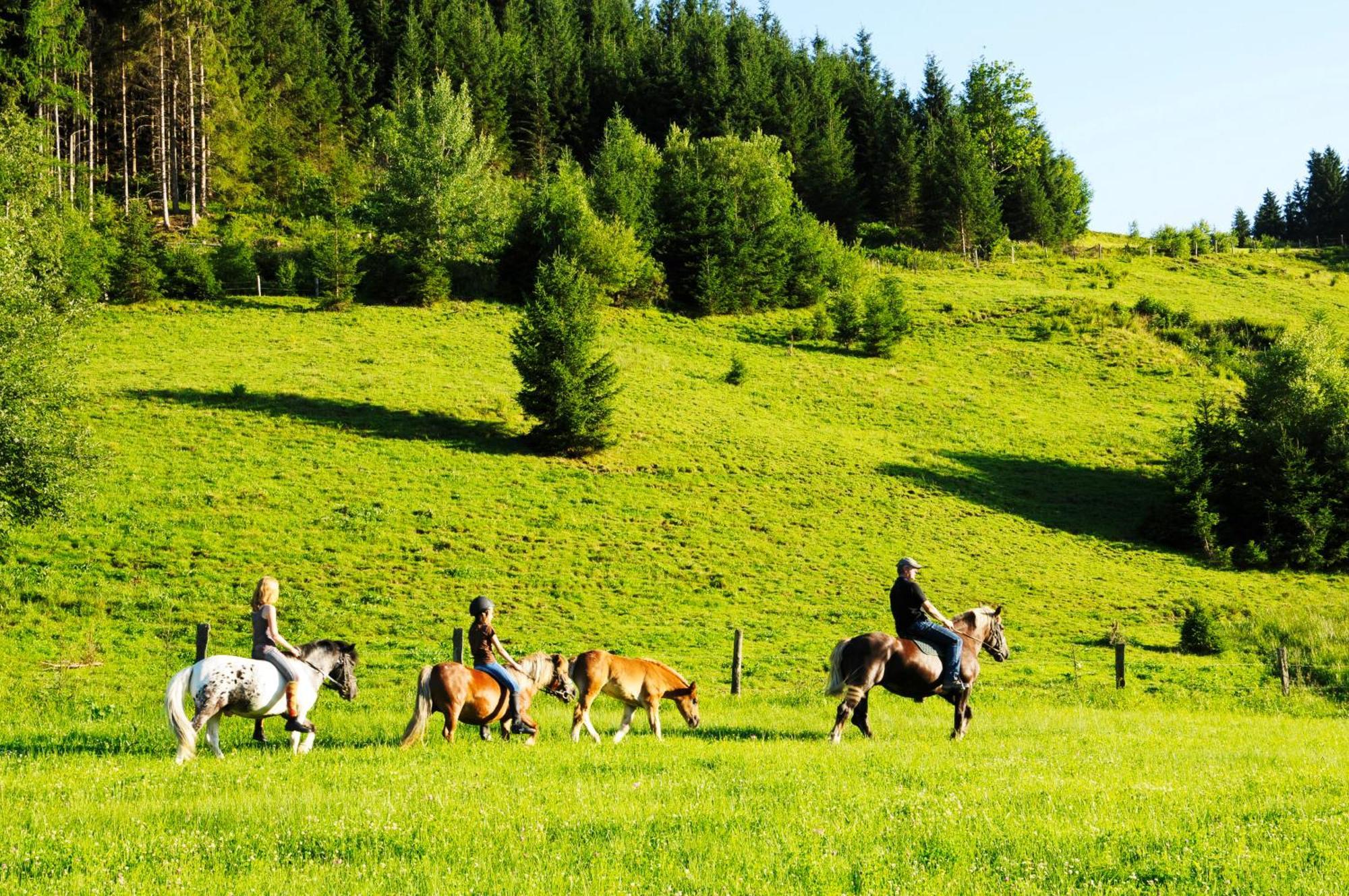 Steinbachgut Villa Flachau Bagian luar foto