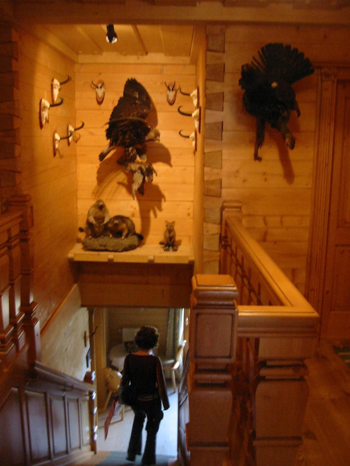 Steinbachgut Villa Flachau Bagian luar foto