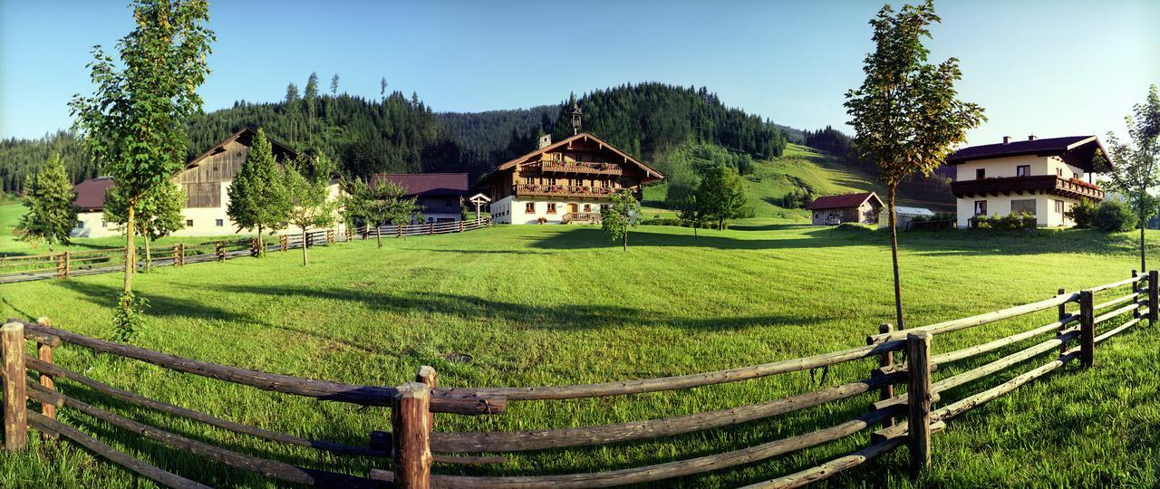 Steinbachgut Villa Flachau Bagian luar foto
